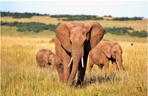 Captura de pantalla 2026-01-07 180550